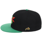 SATURDAY MORNING CARTOONS: TEENAGE MUTANT NINJA TURTLES - Raphael Turtles Fitted