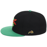 SATURDAY MORNING CARTOONS: TEENAGE MUTANT NINJA TURTLES - Raphael Turtles Fitted