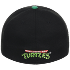SATURDAY MORNING CARTOONS: TEENAGE MUTANT NINJA TURTLES - Raphael Turtles Fitted