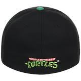 SATURDAY MORNING CARTOONS: TEENAGE MUTANT NINJA TURTLES - Raphael Turtles Fitted