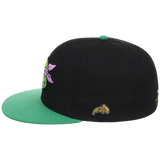SATURDAY MORNING CARTOONS: TEENAGE MUTANT NINJA TURTLES - Donatello Turtles Fitted