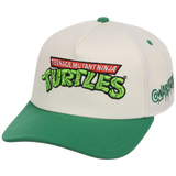 SATURDAY MORNING CARTOONS: TEENAGE MUTANT NINJA TURTLES - Turtles A-Frame