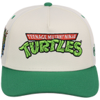 SATURDAY MORNING CARTOONS: TEENAGE MUTANT NINJA TURTLES - Turtles A-Frame