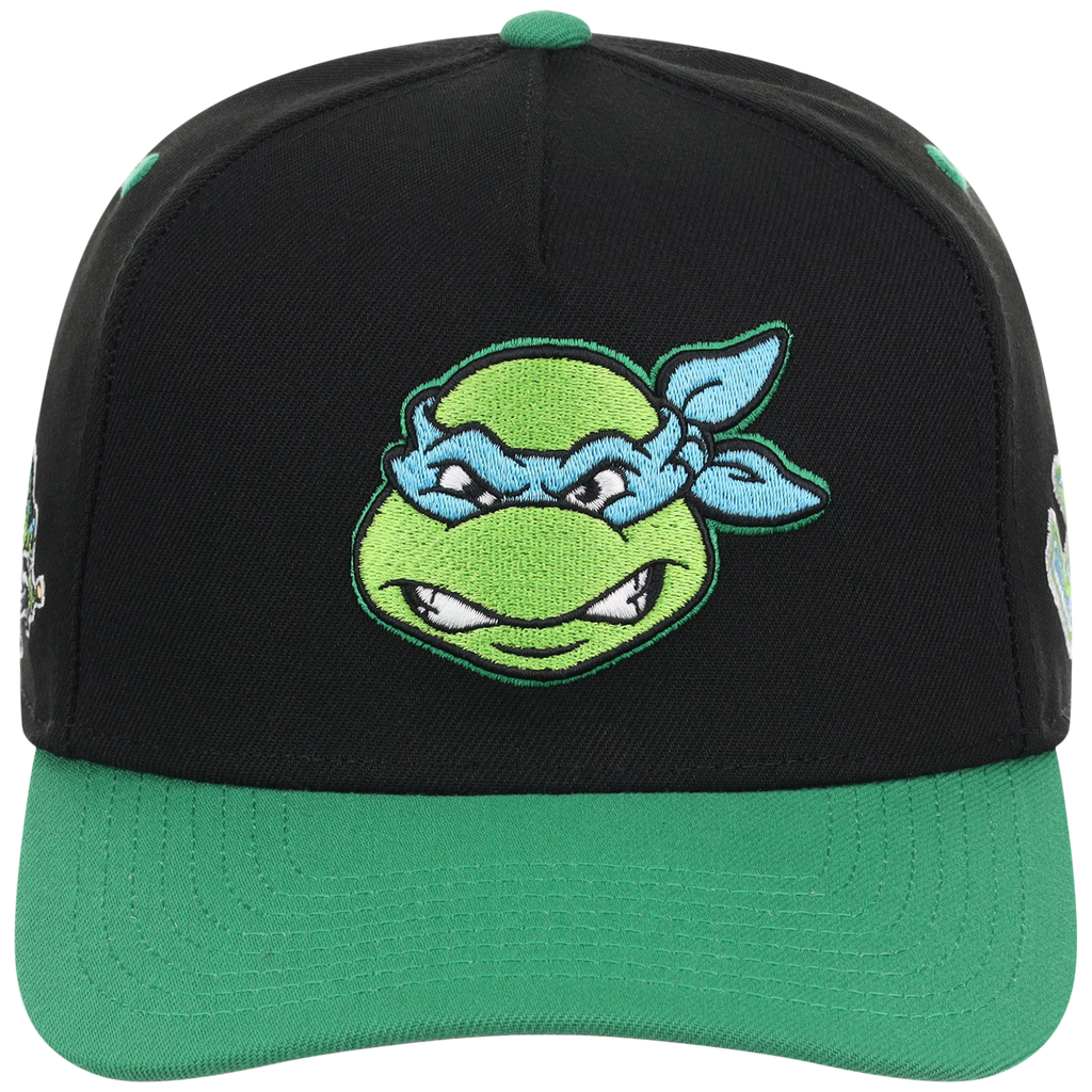 SATURDAY MORNING CARTOONS: TEENAGE MUTANT NINJA TURTLES - Leonardo Turtles A-Frame