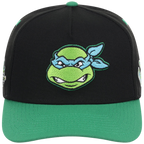 SATURDAY MORNING CARTOONS: TEENAGE MUTANT NINJA TURTLES - Leonardo Turtles A-Frame