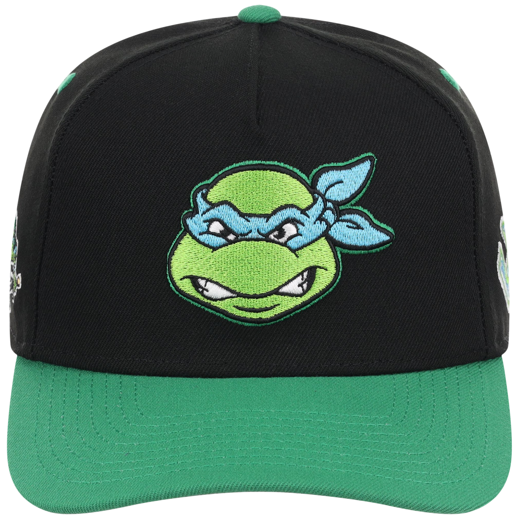 SATURDAY MORNING CARTOONS: TEENAGE MUTANT NINJA TURTLES - Leonardo Turtles A-Frame