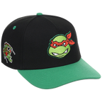 SATURDAY MORNING CARTOONS: TEENAGE MUTANT NINJA TURTLES - Raphael Turtles A-Frame