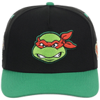 SATURDAY MORNING CARTOONS: TEENAGE MUTANT NINJA TURTLES - Raphael Turtles A-Frame