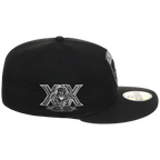 Florida Panthers NHL Liquid Titanium New Era 59FIFTY