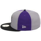 Sacramento Kings NBA Pinwheel 2.0 New Era 59FIFTY