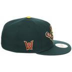 Worcester Red Sox Minor League Monday New Era 59FIFTY