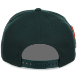 St. Louis Cardinals - St. Louis Crown the City 2.0 'The Lou' New Era 9FORTY (Dark Green/Dark Green)