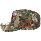 St. Louis Cardinals - St. Louis Crown the City 2.0 'The Lou' New Era 9FORTY (Realtree)