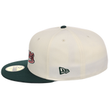 Houston Astros Houston Crown the City 'Los Astros' New Era 59FIFTY (Chrome/Dark Green)