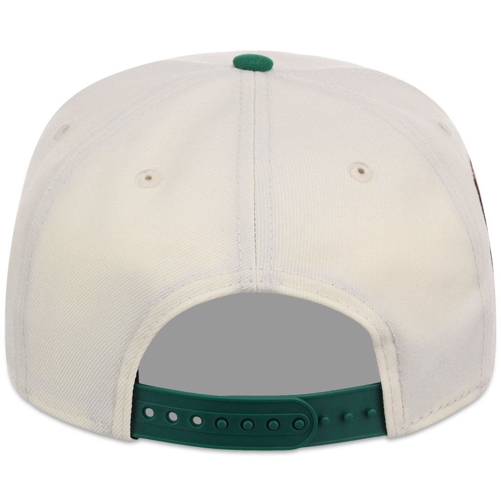 Houston Astros Houston Crown the City 'MEX Flag' New Era 9FORTY (Chrome/Kelly Green)