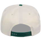 Houston Astros Houston Crown the City 'MEX Flag' New Era 9FORTY (Chrome/Kelly Green)