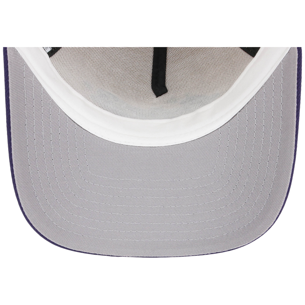 Houston Astros Houston Crown the City 'Celestial Script' New Era 9FORTY (Gold/Purple)