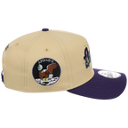 Houston Astros Houston Crown the City 'Celestial Script' New Era 9FORTY (Gold/Purple)