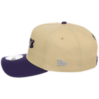 Houston Astros Houston Crown the City 'Celestial Script' New Era 9FORTY (Gold/Purple)