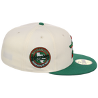 Houston Astros Houston Crown the City 'MEX Heritage Star' New Era 59FIFTY (Chrome/Kelly Green)