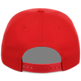 Houston Texans Houston Crown the City 'H Star' New Era 9FORTY (Red/Sky)