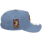 Chicago Cubs MLB Golden Fade New Era 9FORTY