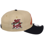 Atlanta Braves MLB Vegas Pop New Era 9FORTY
