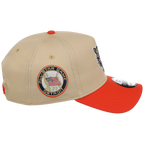 Detroit Tigers MLB Vegas Pop New Era 9FORTY
