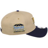 Tampa Bay Rays MLB Vegas Pop New Era 9FORTY