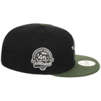 Houston Astros MLB 'Standard Issued' New Era 59FIFTY