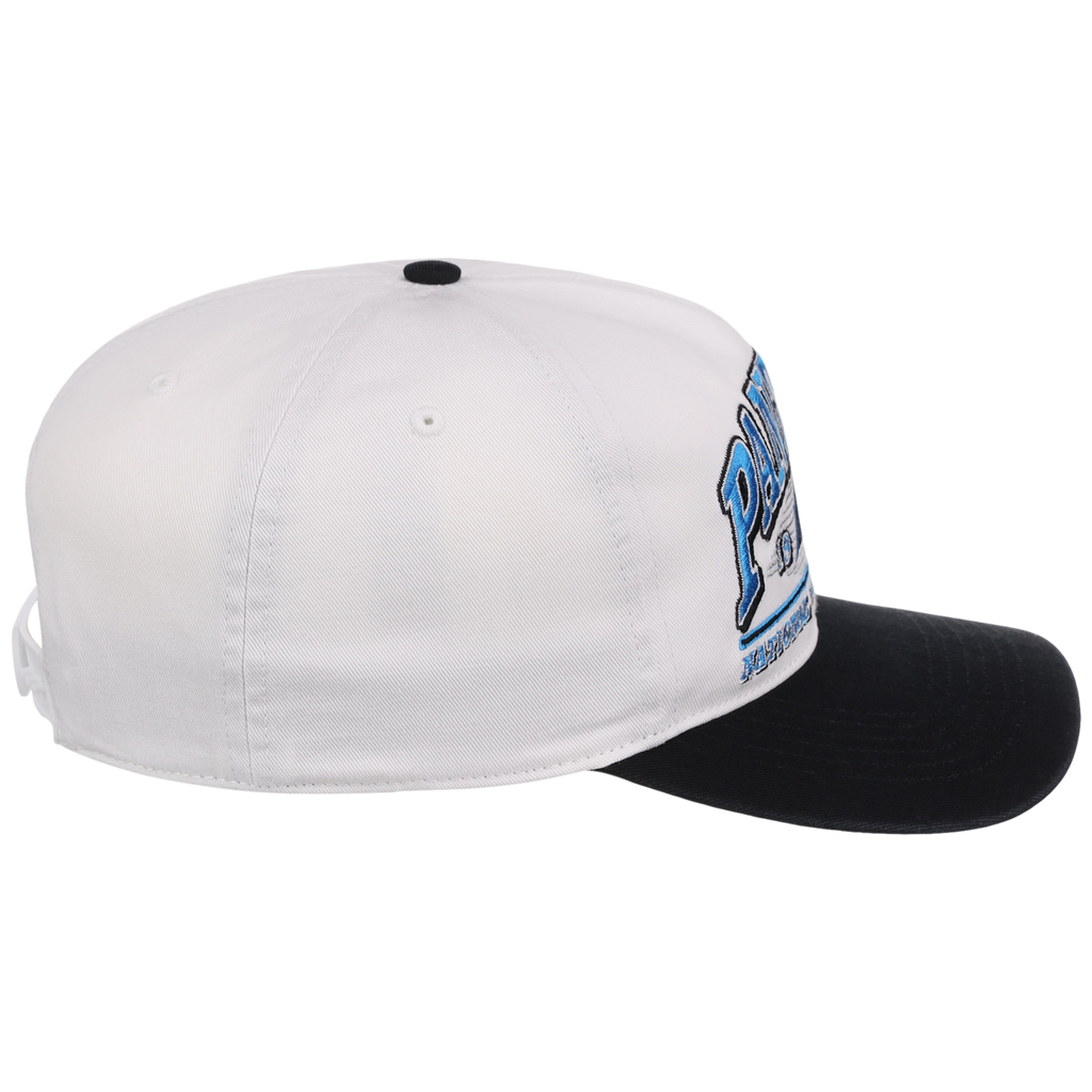 Carolina Panthers NFL '47 Big Time 2-Tone Hitch