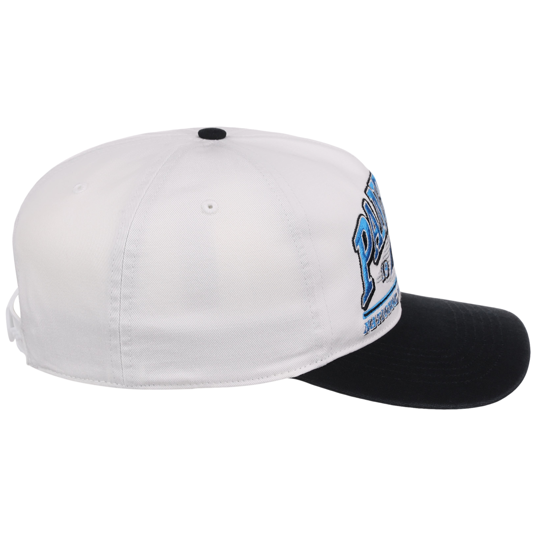 Carolina Panthers NFL '47 Big Time 2-Tone Hitch