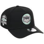 Chicago Cubs MLB Alpine Snow New Era 9FORTY A-Frame