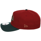 Atlanta Braves MLB Terra Verde New Era 9FORTY