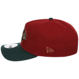 Atlanta Braves MLB Terra Verde New Era 9FORTY