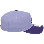 Atlanta Braves MLB Lavender x Purple FASHION CORE New Era 9FORTY A-Frame