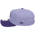 New York Yankees MLB Lavender x Purple FASHION CORE New Era 9FORTY A-Frame