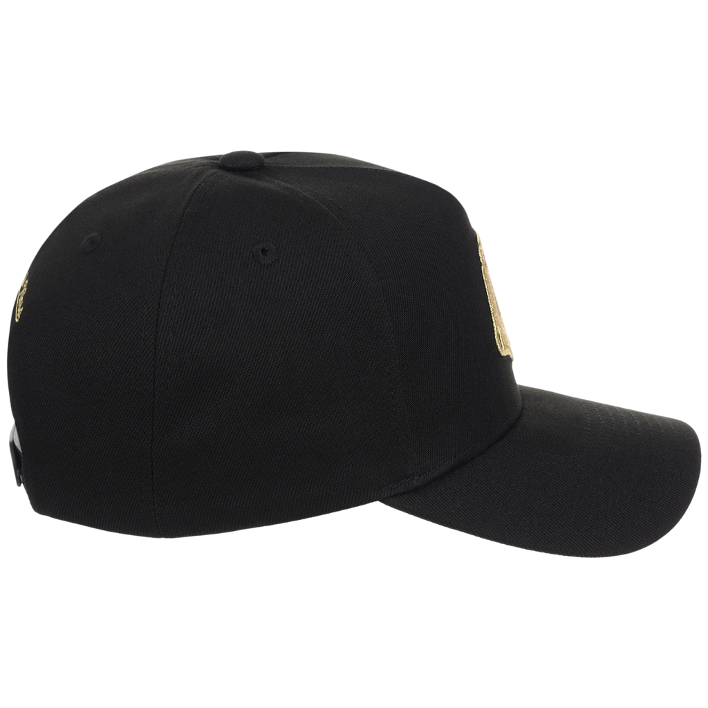 Boston Red Sox MLB All That Glitters Mitchell & Ness Pro Pinch