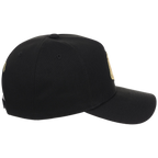 Boston Red Sox MLB All That Glitters Mitchell & Ness Pro Pinch