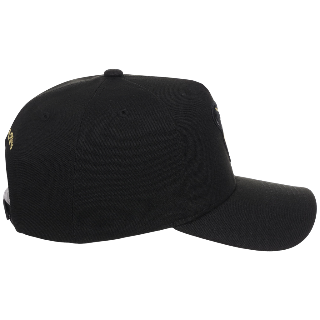 Arizona Diamondbacks MLB All That Glitters Mitchell & Ness Pro Pinch