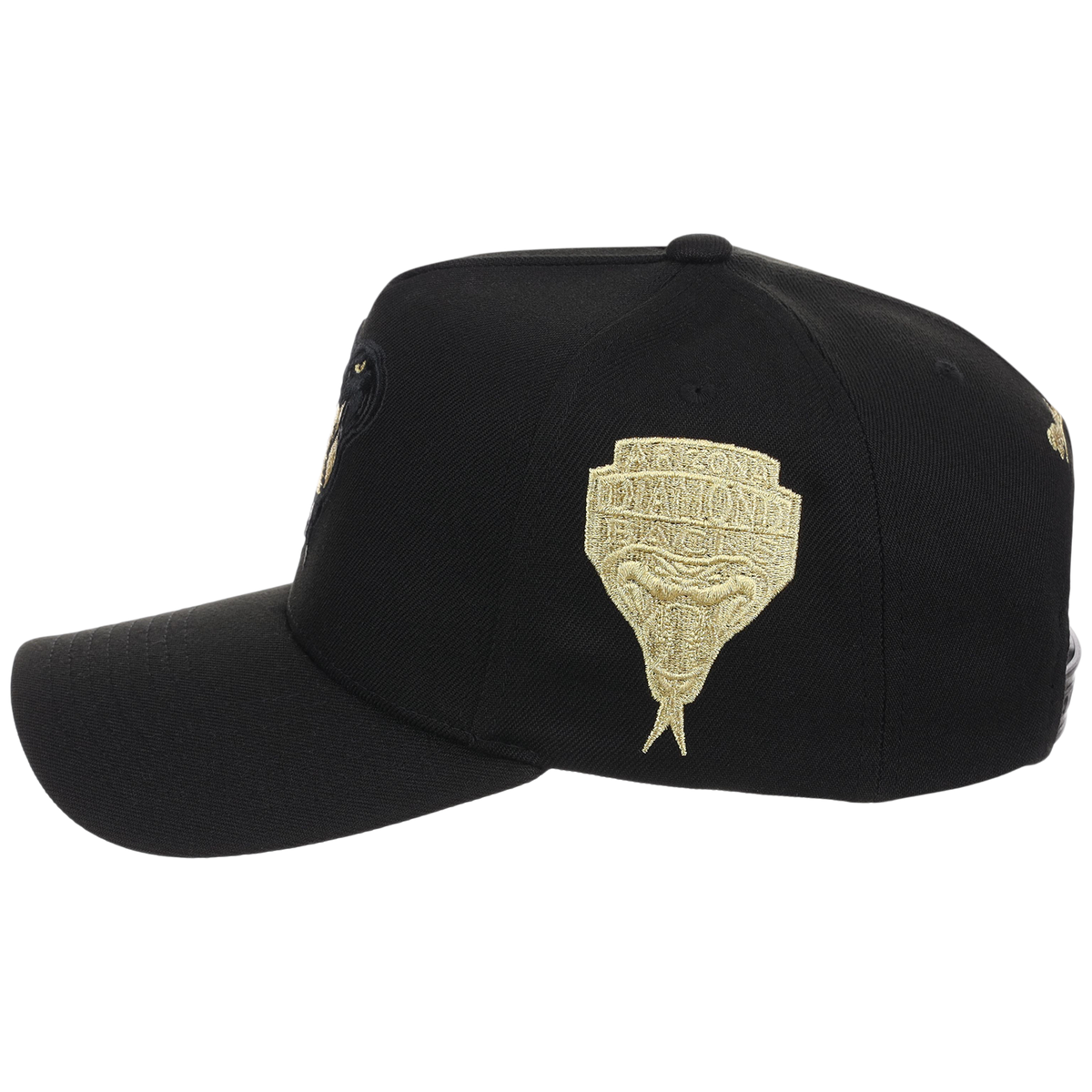 Arizona Diamondbacks MLB All That Glitters Mitchell & Ness Pro Pinch