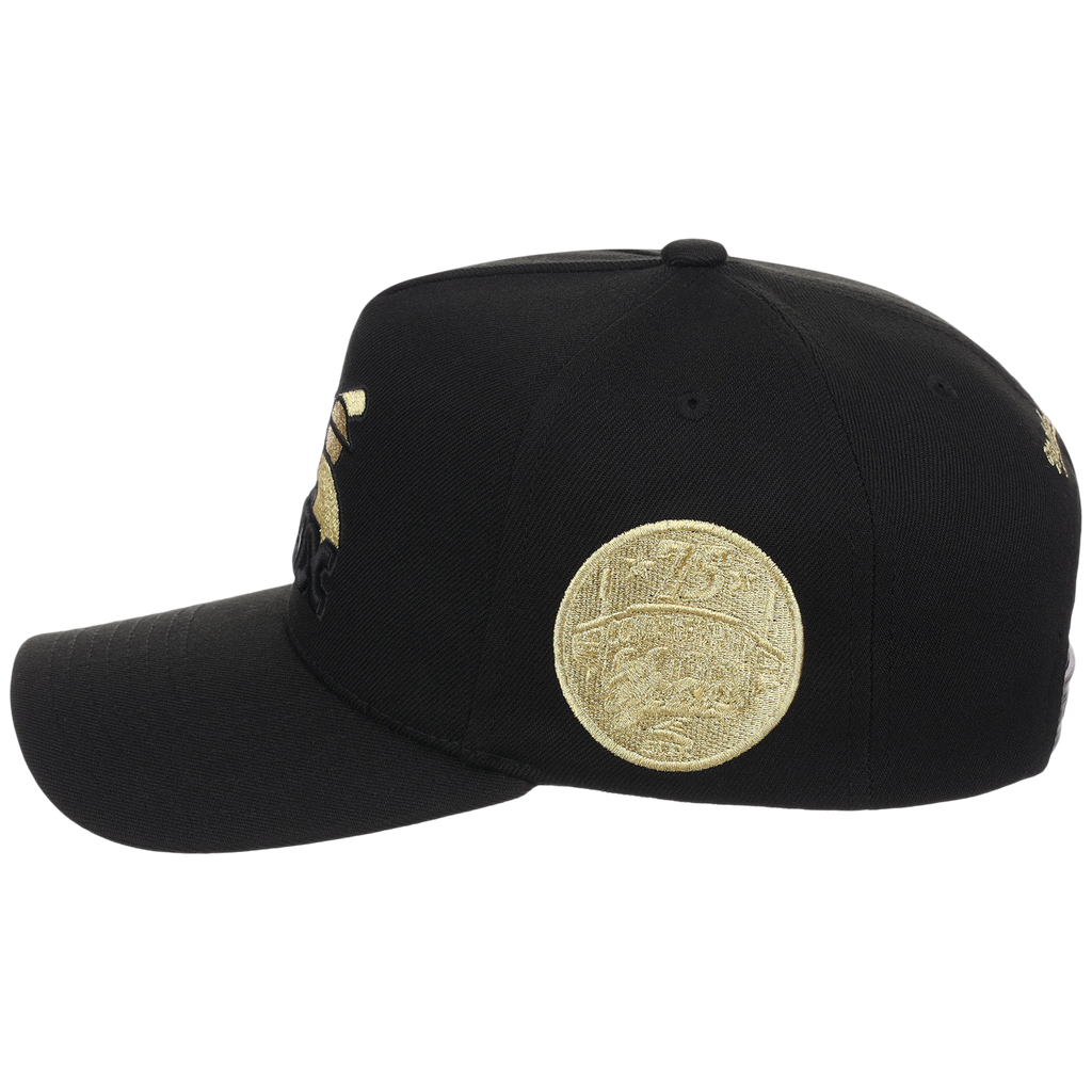 Chicago White Sox MLB All That Glitters Mitchell & Ness Pro Pinch