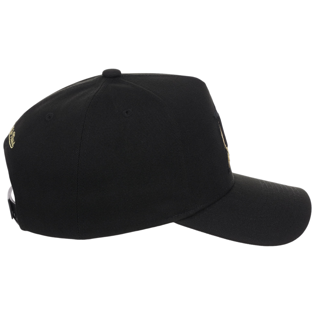Florida Marlins MLB All That Glitters Mitchell & Ness Pro Pinch