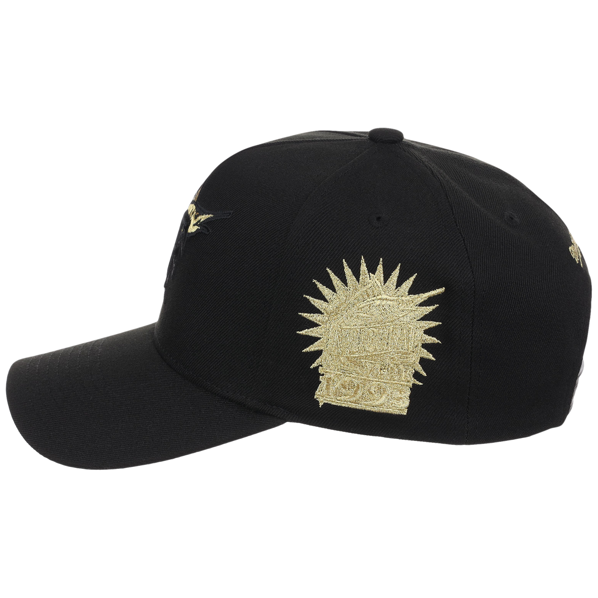 Florida Marlins MLB All That Glitters Mitchell & Ness Pro Pinch