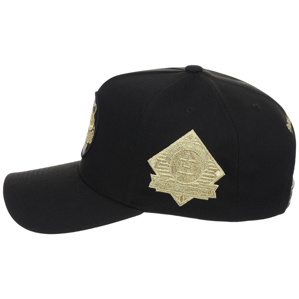 Houston Astros MLB All That Glitters Mitchell & Ness Pro Pinch