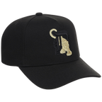 Detroit Tigers MLB All That Glitters Mitchell & Ness Pro Pinch