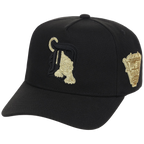 Detroit Tigers MLB All That Glitters Mitchell & Ness Pro Pinch