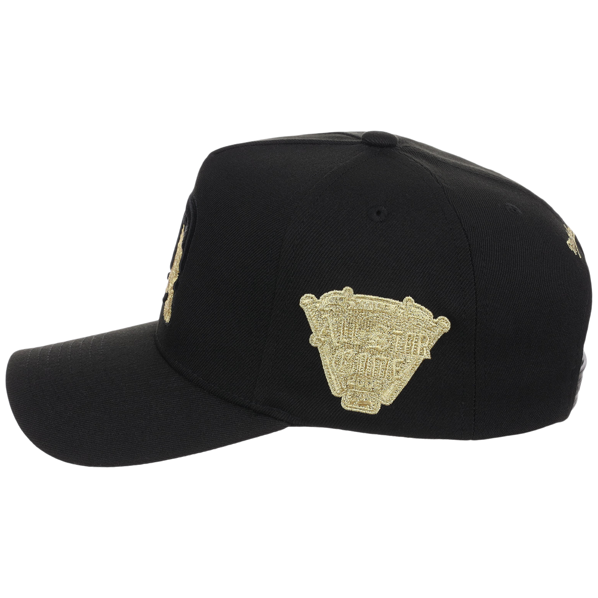 Detroit Tigers MLB All That Glitters Mitchell & Ness Pro Pinch