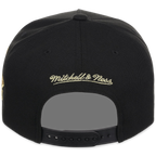 Detroit Tigers MLB All That Glitters Mitchell & Ness Pro Pinch