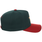 Houston Astros MLB Gilded Grove Mitchell & Ness Pro Pinch